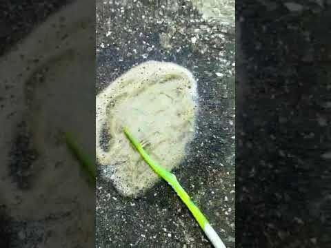 Alternativas naturales para una limpieza sin químicos agresivos