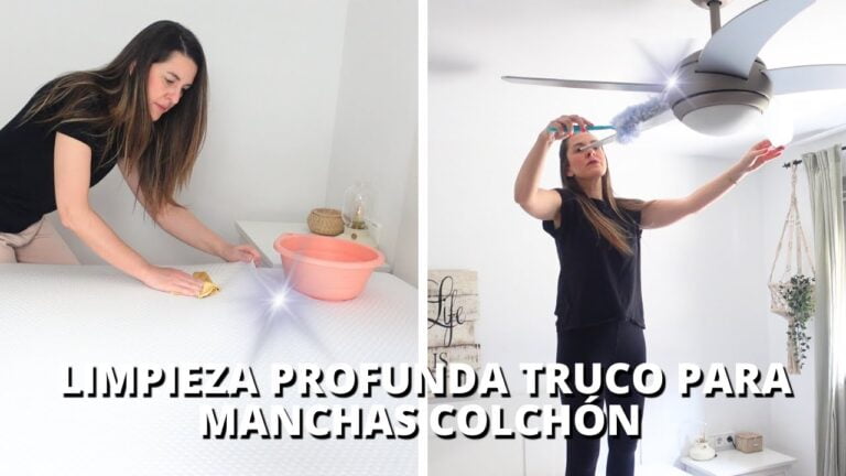 Guía para una limpieza profunda de persianas: consejos y trucos