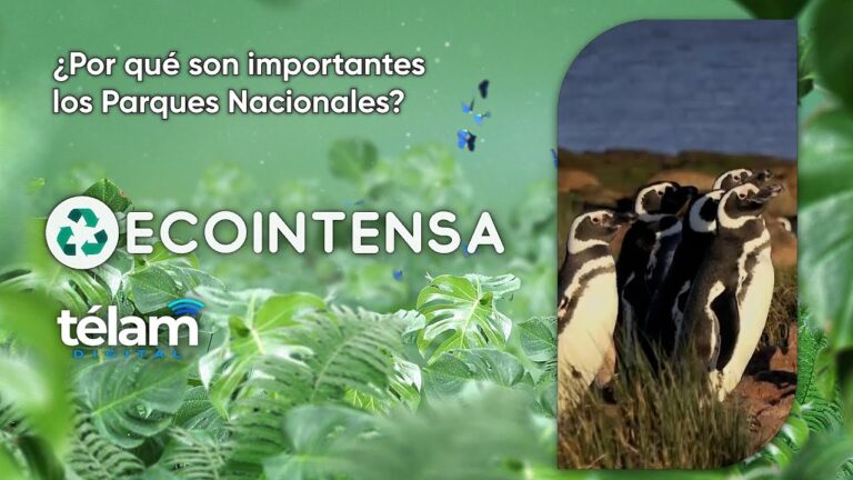 Protección Ambiental en Parques: Estrategias Efectivas