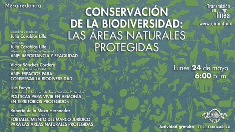 Preservación de la flora y fauna en espacios públicos