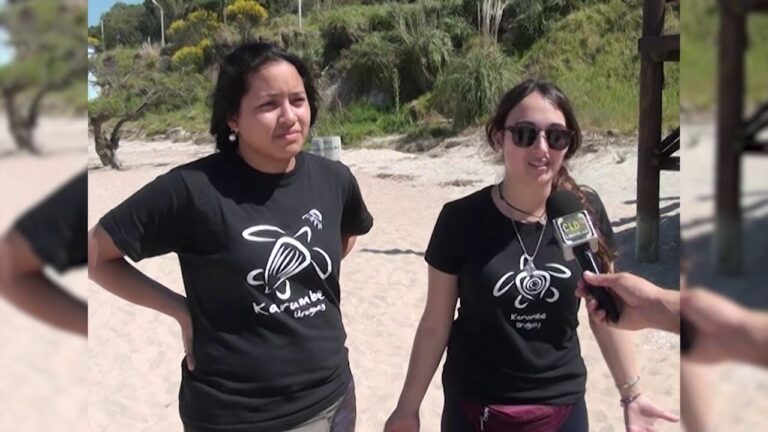 La Importancia de la Limpieza de Terrazas
