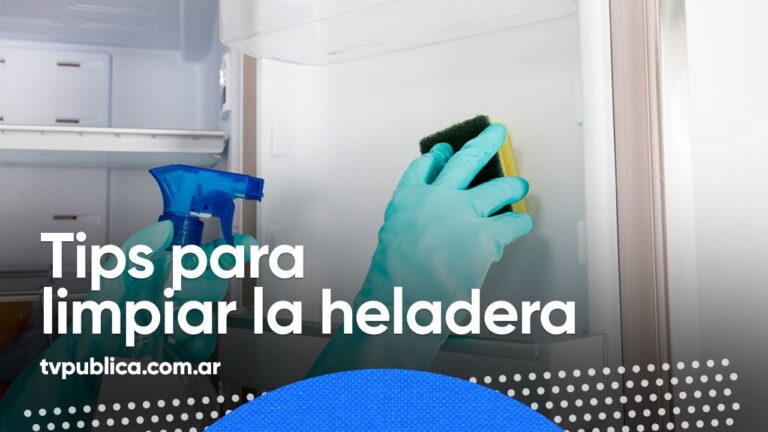 Consejos para una limpieza bactericida eficaz