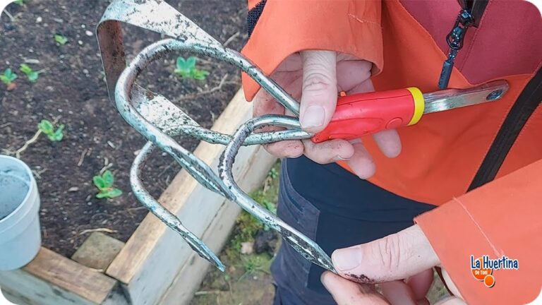 Las herramientas esenciales para limpiar pasillos