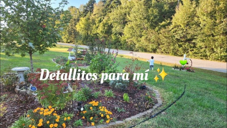 Ventajas de un jard&iacute;n limpio y ordenado