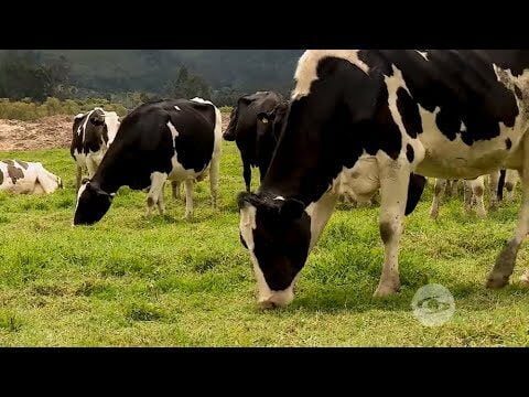 La Importancia del Secado Adecuado