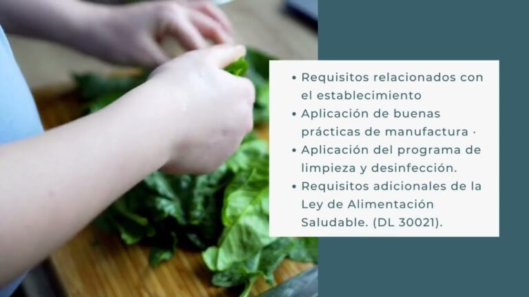 Mejores Prácticas de Limpieza en Comedores