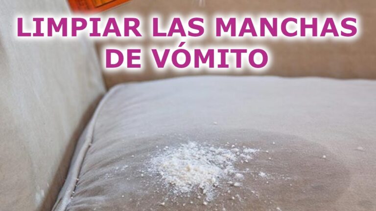 Consejos para prevenir manchas en la tapicería